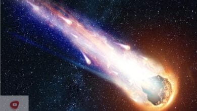 صورة مذنب ليونارد ألمع مذنب لهذا العام