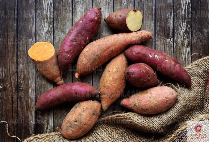 البطاطا الحلوة فوائد واضرار وطريقة تحضيرها لمرضى السكر