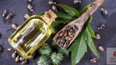 صورة زيت الخروع: ما هي فوائده – آلية عمله – الطريقة الصحيحة لاستخدامه