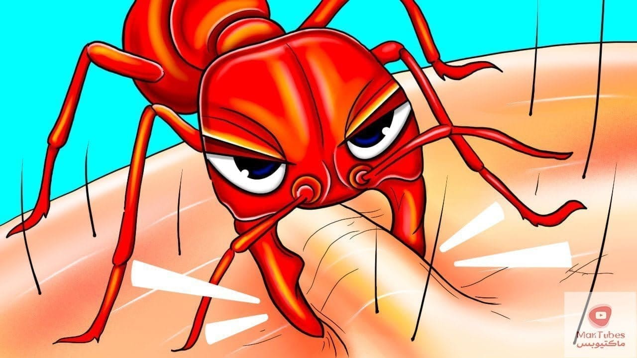 لسعة الحشرات: لماذا تلسعني الحشرات دائماً وتترك الآخرين في حالهم؟