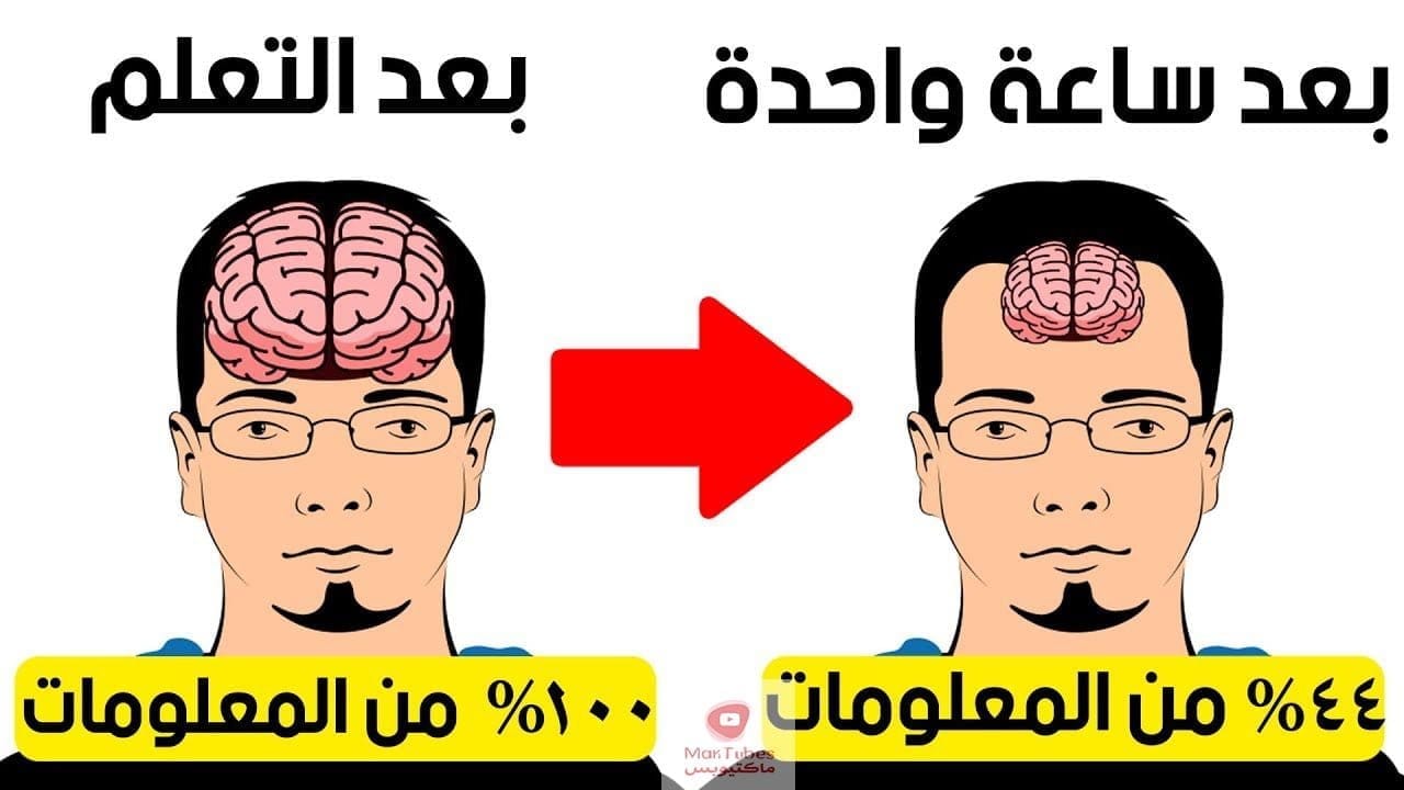 سرعة الحفظ: أهم أحد عشر سِرًا ستجعلك سريع الحفظ