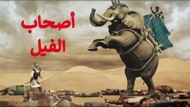 صورة حرب أصحاب الفيل، القصة الكاملة بالتفاصيل الخفية التي لم تروى