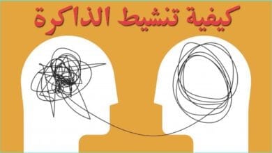 صورة مهارات تنشيط الذاكرة – ملخص كتاب