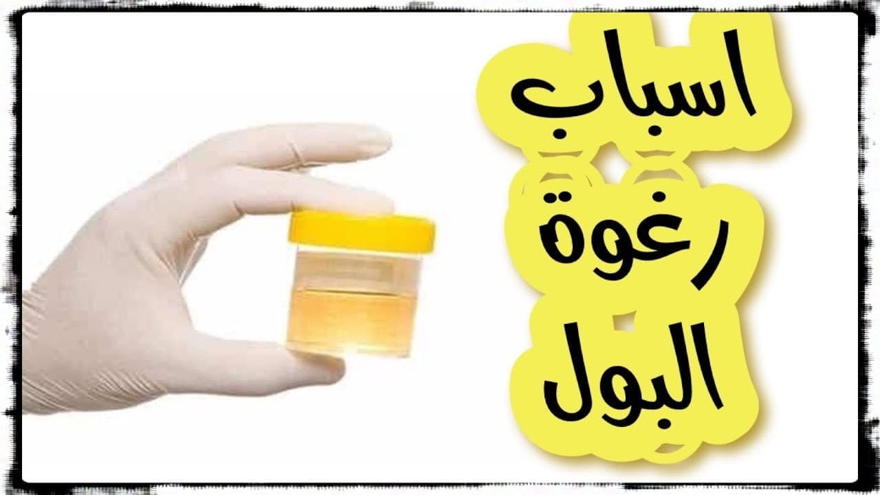 رغوة البول - أسباب وكيفية التخلص من رغوة البول ؟