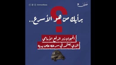 صورة عقول تسويقية – مرسيدس وبي ام دبليو